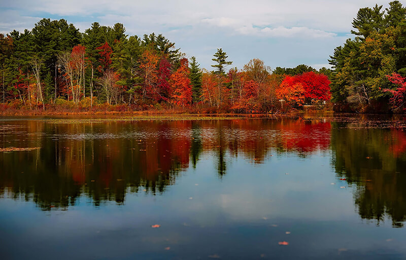 fishing base 3 - Carp pond