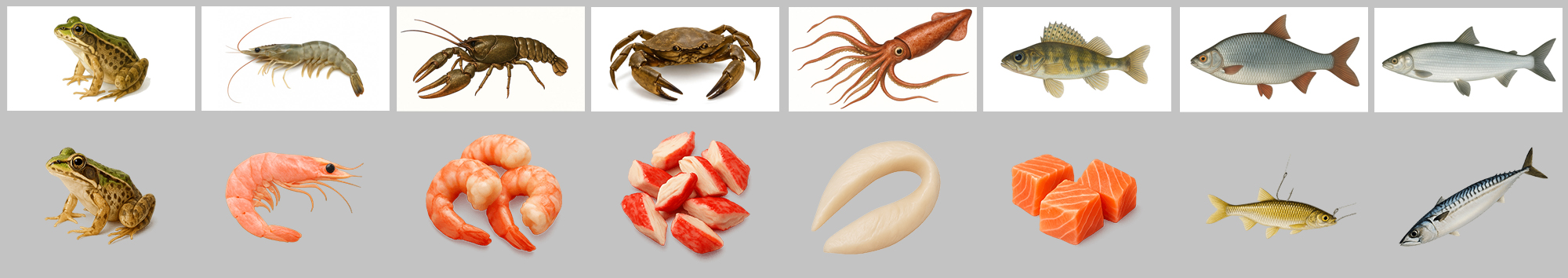 Baits from catch in Fishing Baron game